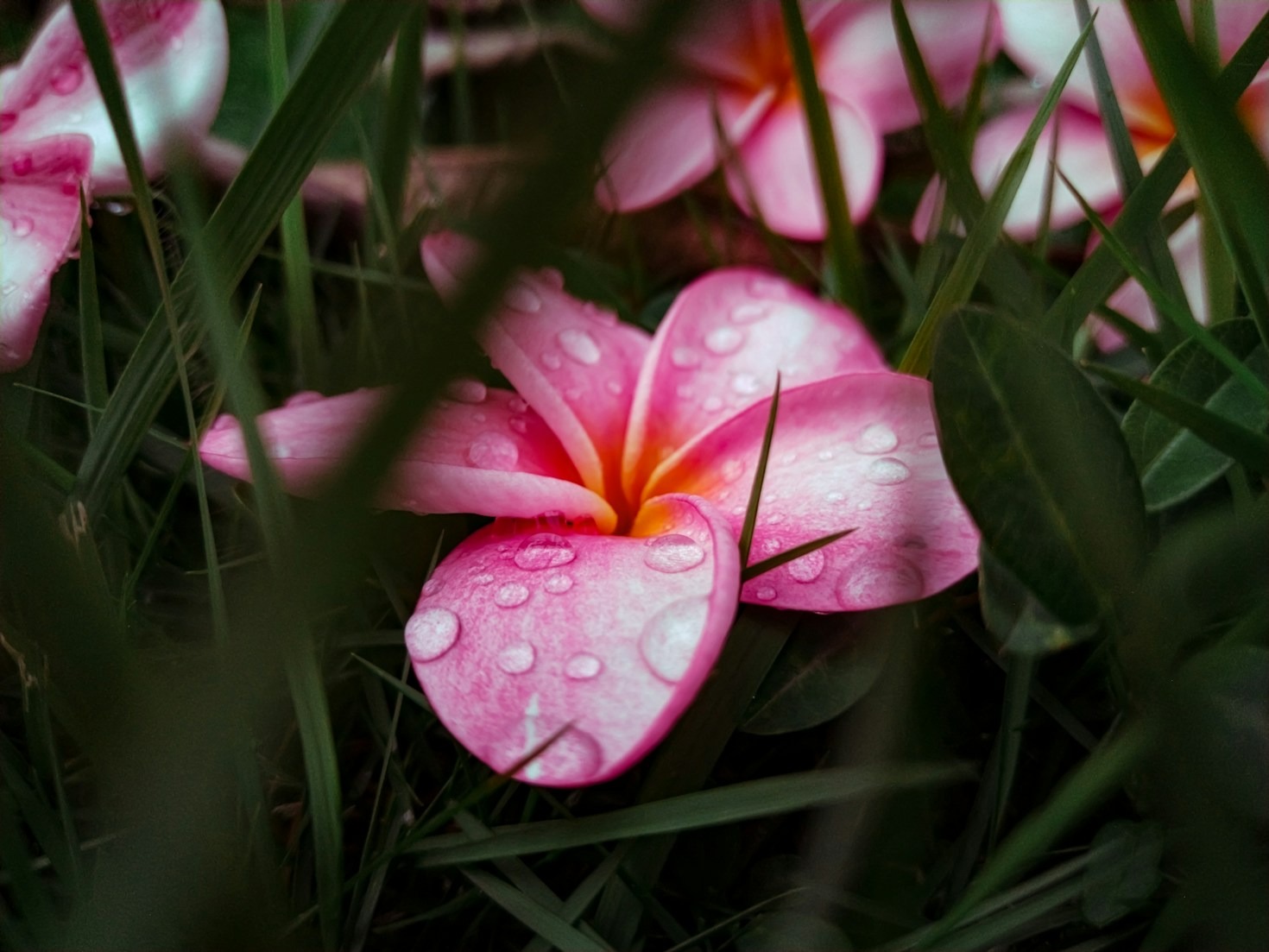 Exploring Different Styles Of Digital Photography